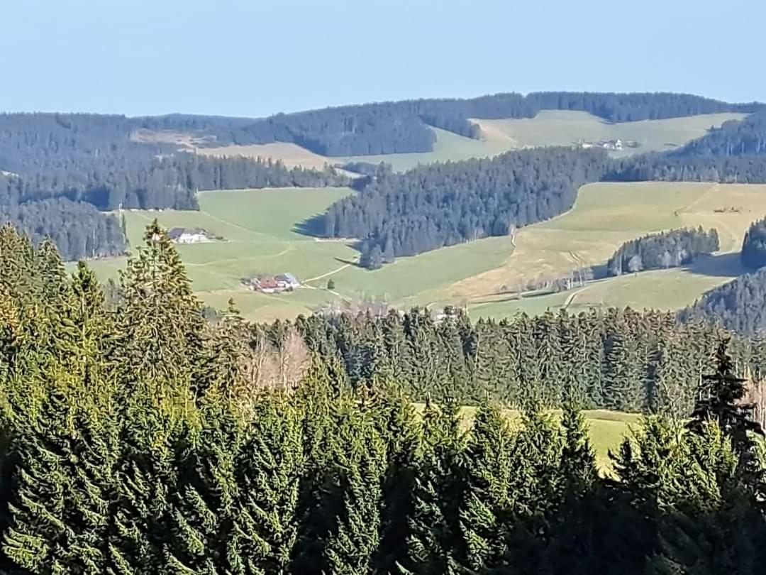 Appartement Seestrasse Wohnung 3 Titisee-Neustadt Zewnętrze zdjęcie